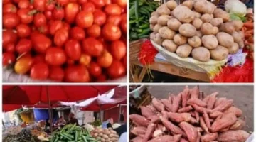 سعر الخضراوات في الإسكندرية اليوم يشهد استقراراً ملحوظاً